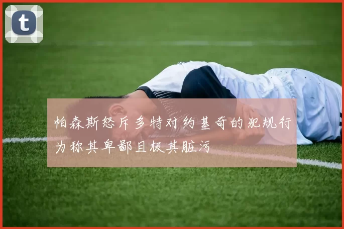 帕森斯怒斥多特对约基奇的犯规行为称其卑鄙且极其脏污